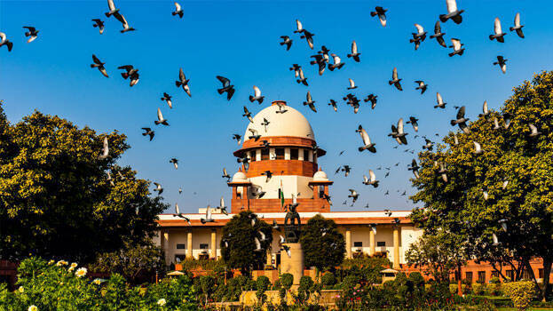 homosexuality homosexuality