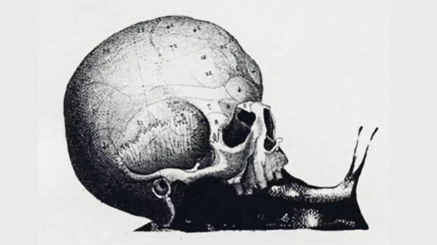 optical-illusion optical-illusion