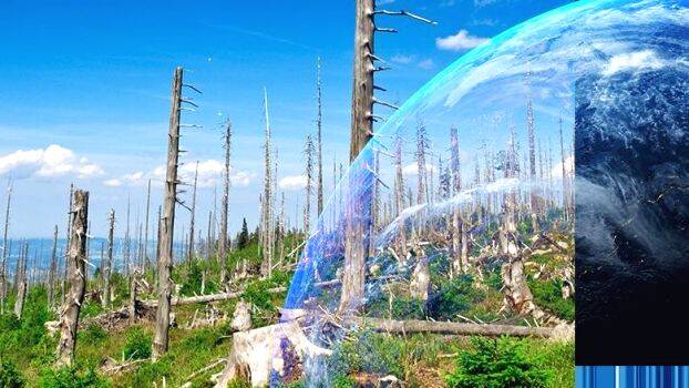 environment-day environment-day