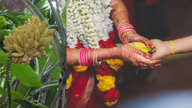 poovan-pazham poovan-pazham