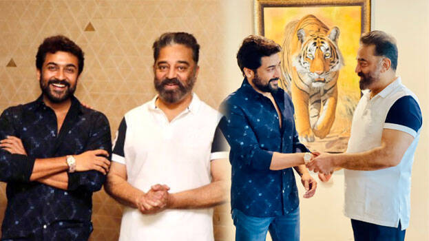 surya-kamal surya-kamal