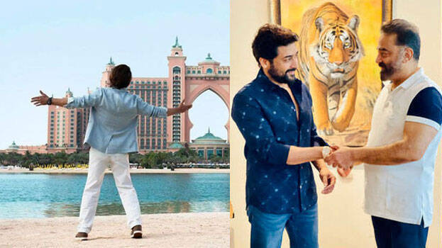 kamal-surya kamal-surya