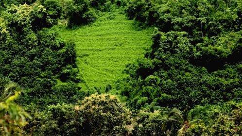 eco-sensitive eco-sensitive