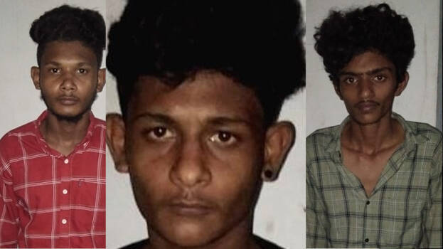 shihal-thayif-fasil shihal-thayif-fasil