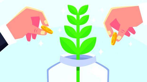 mutual-funds mutual-funds