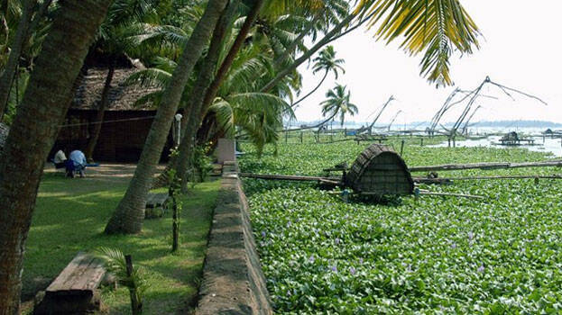kumbalangi kumbalangi