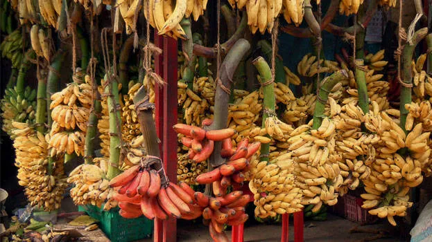 banana