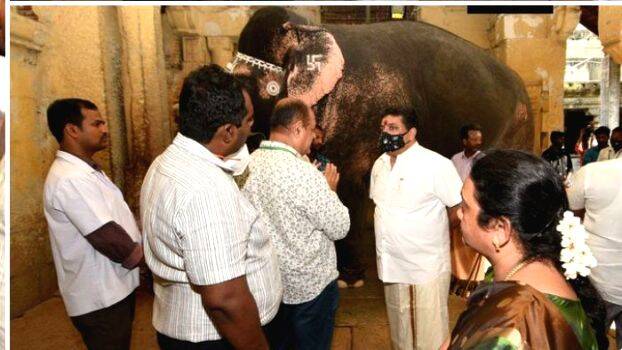 elephant-paravthi elephant-paravthi