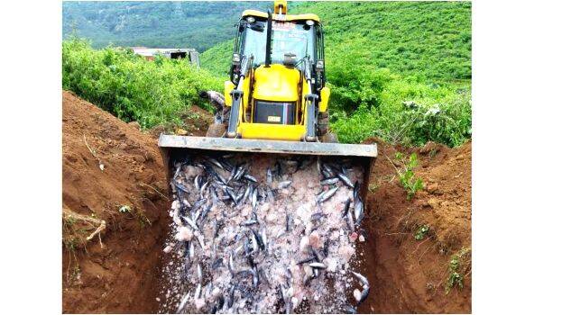 pazhakiyameen pazhakiyameen