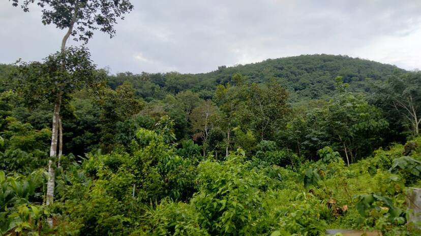 20-erichurulimala 20-erichurulimala