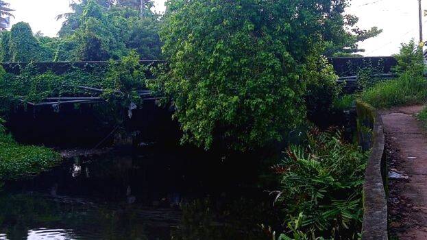 plakkadavu plakkadavu