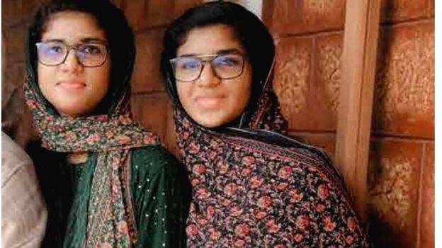 twin-sisters twin-sisters