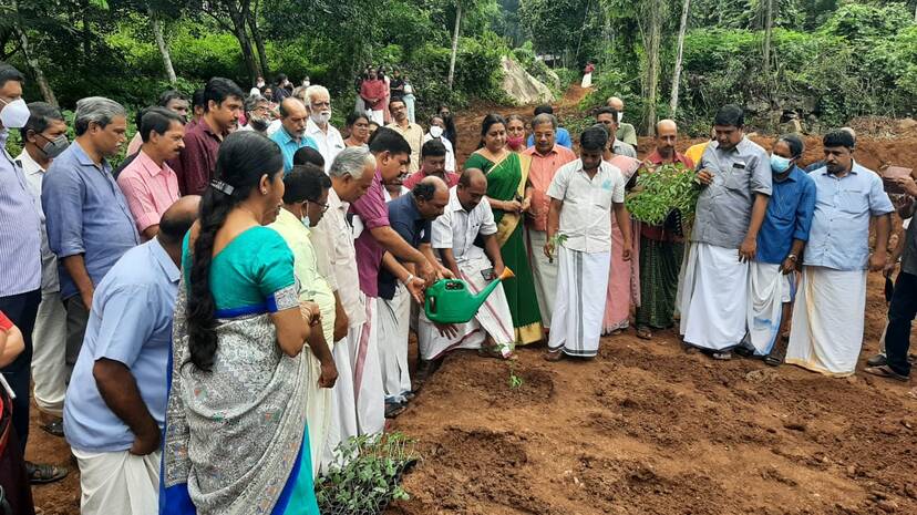 pachakari- pachakari-