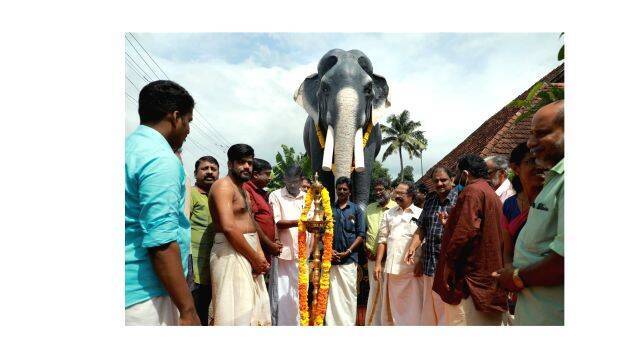 kotarakara kotarakara