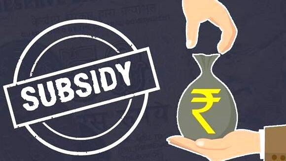 subsidy subsidy