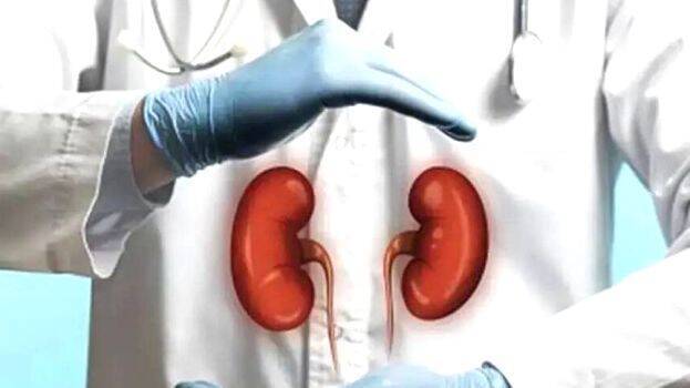 kidney-transplant