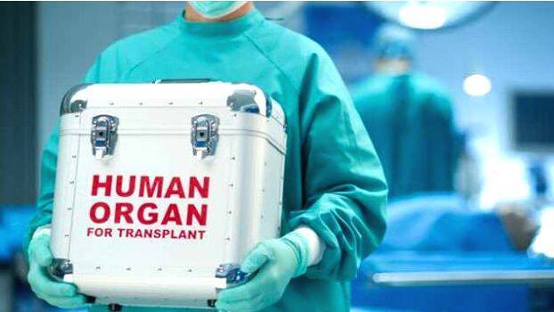 organ-transplantation