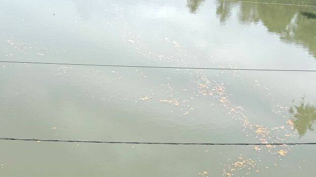 malinniyam- malinniyam-