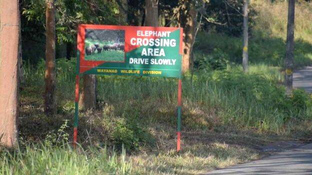 buffer-zone buffer-zone