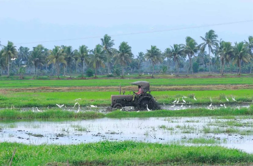 Kerala Kaumudi Photo Gallery
