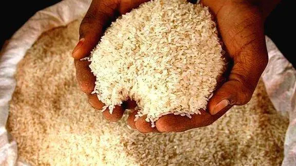 rice