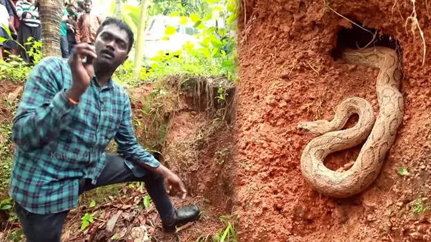 snake-master