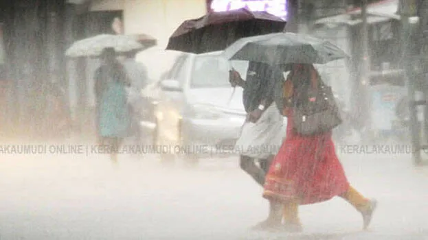 rain