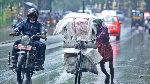 rain