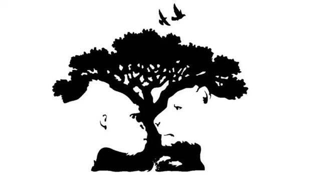 optical-illusion optical-illusion