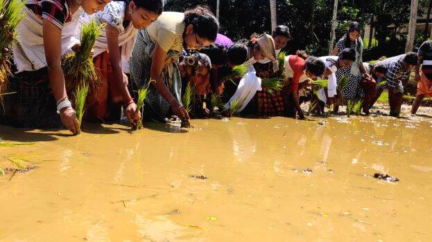 njaru-nadunnu njaru-nadunnu