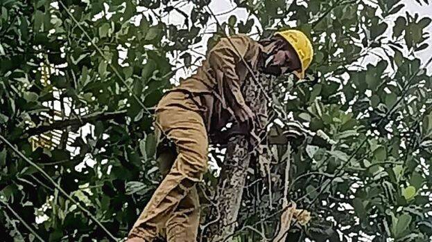 prakashagramam prakashagramam