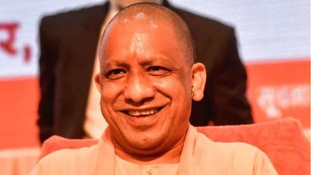 yogi