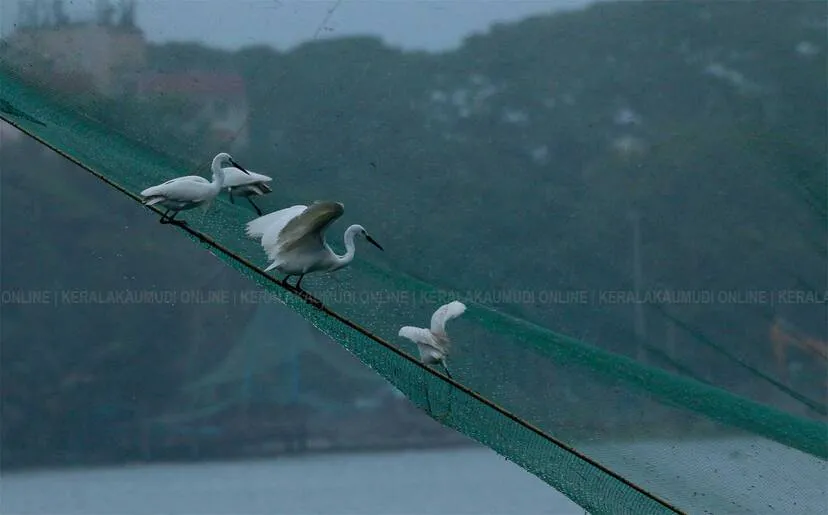 Kerala Kaumudi Photo Gallery