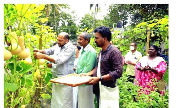 krishi-vilavedup krishi-vilavedup