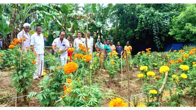 poo-ktishi poo-ktishi