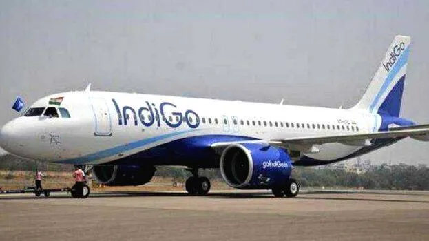 indigo