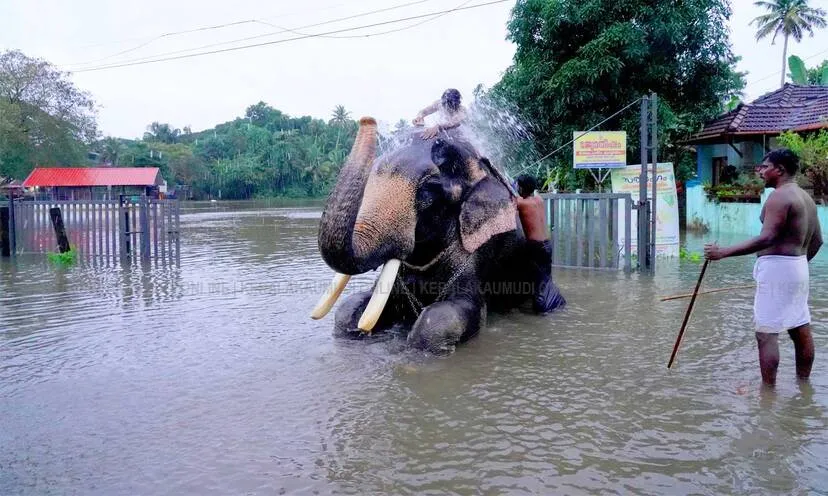 Kerala Kaumudi Photo Gallery