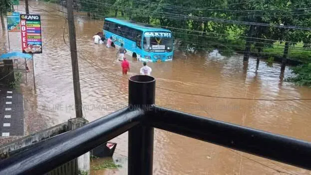 rain