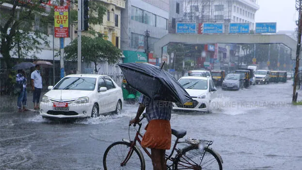 rain