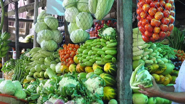 vegetables