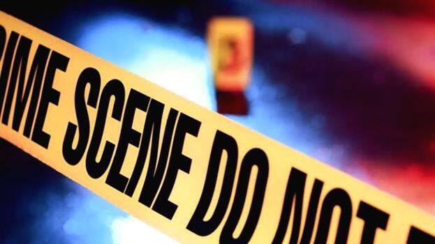 case-diary- case-diary-