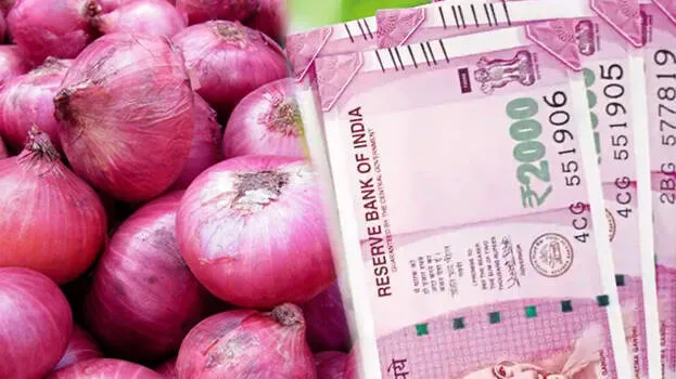onion