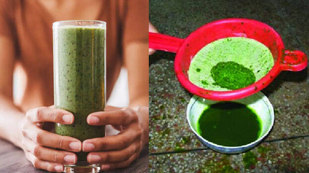 papaya-leaf papaya-leaf