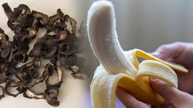 banana-peel banana-peel