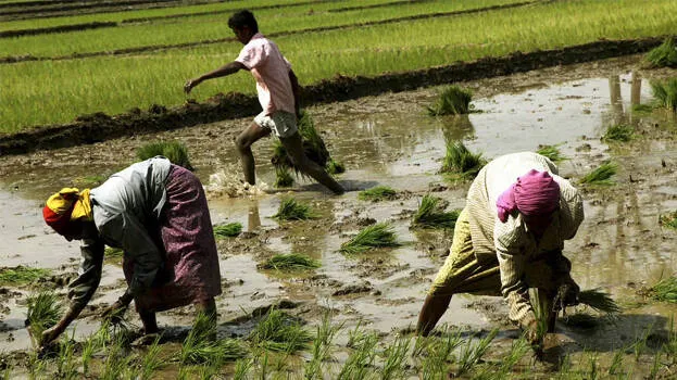 agri