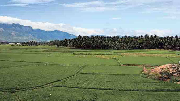 sundarapandiapuram sundarapandiapuram
