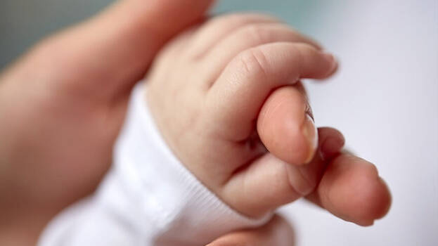 -fertility-rate -fertility-rate