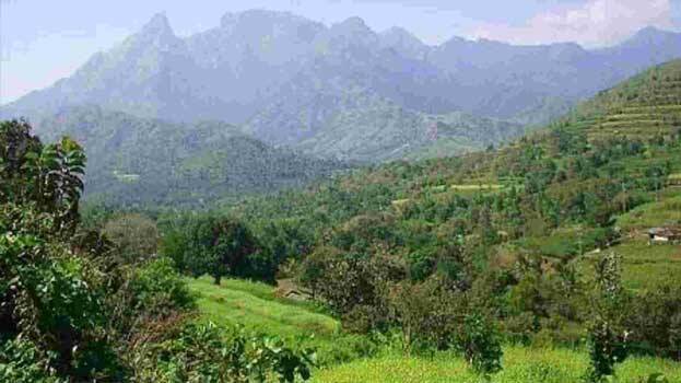 buffer-zone buffer-zone