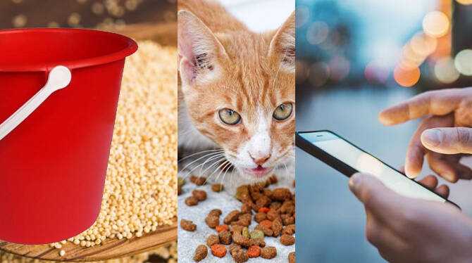 crimes-in-uae- crimes-in-uae-