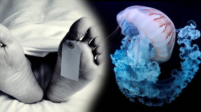 humans-become-immortal-so humans-become-immortal-so